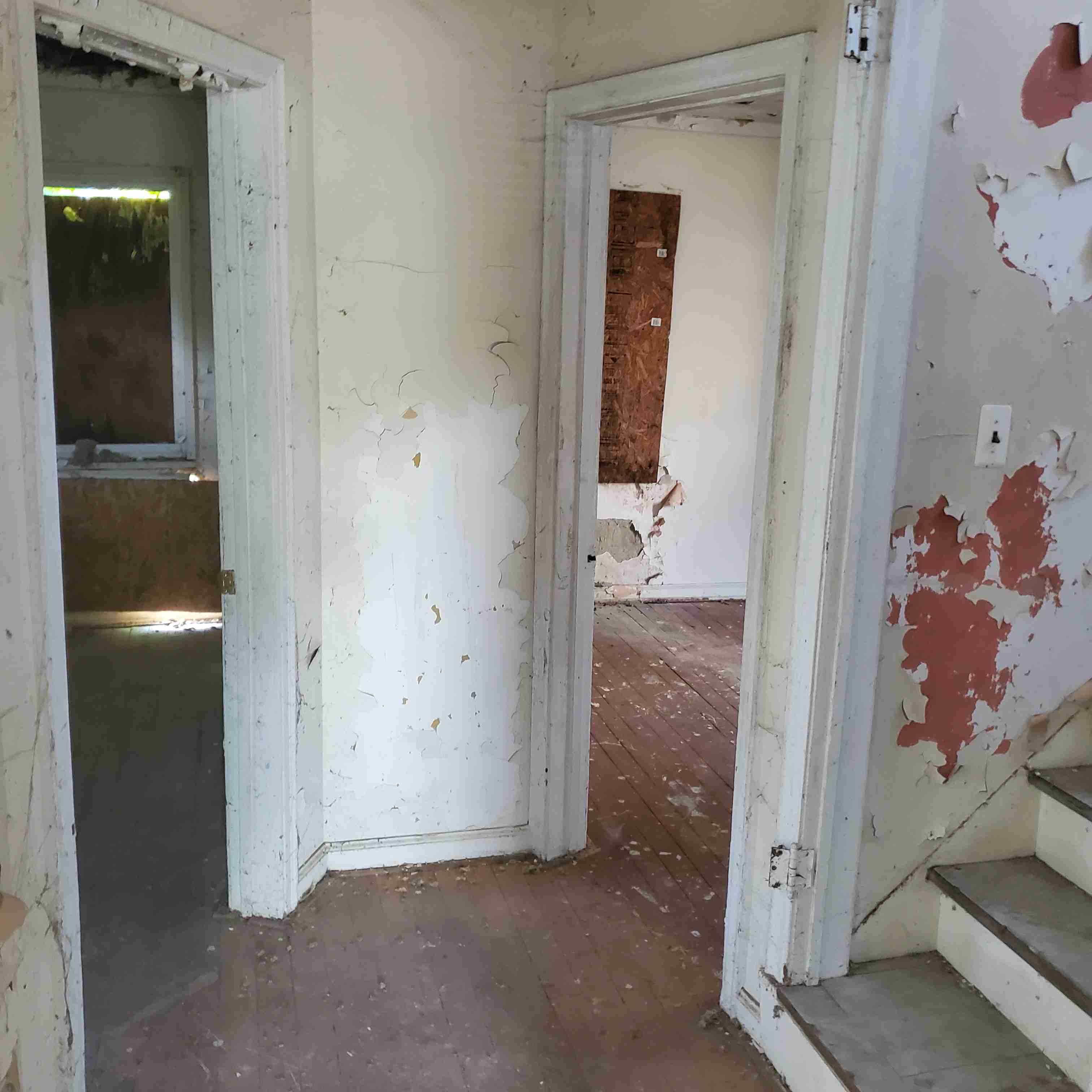 20200812_150816 (2).jpg